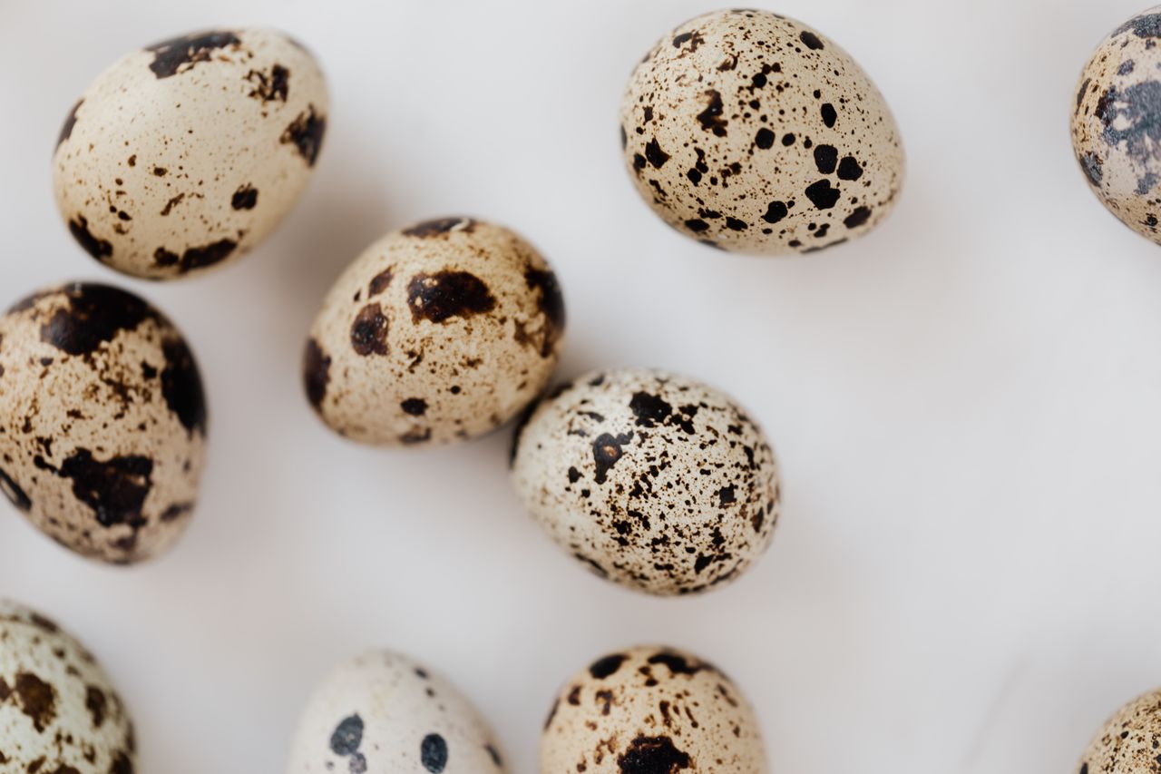About A detailed view of speckled quail eggs arranged on a white surface, showcasing their unique patterns.