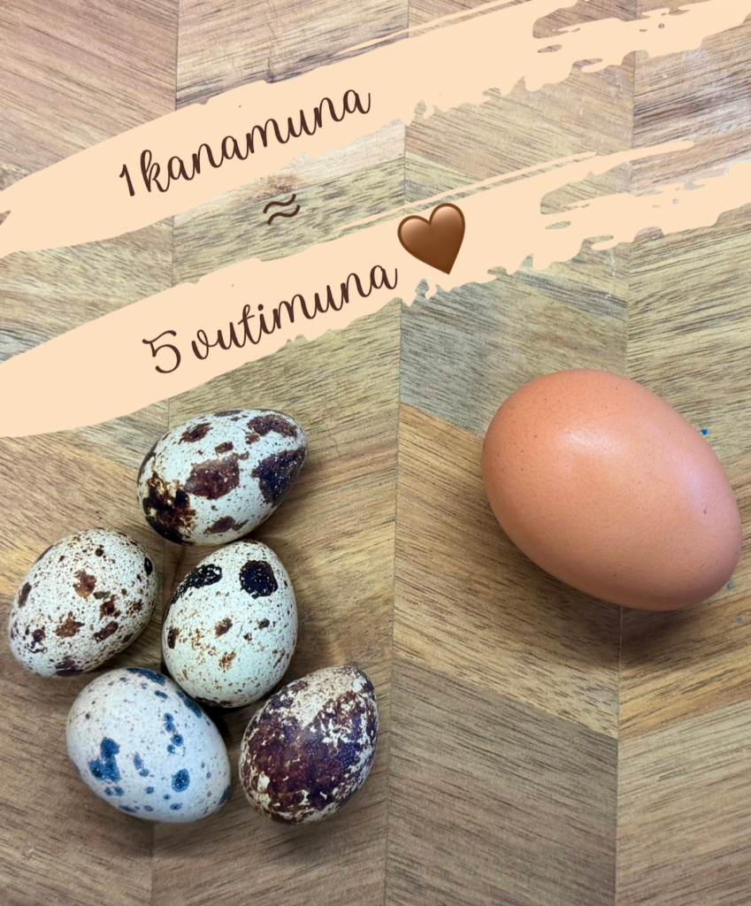 Mida teha vutimunadest – värsked vutimunad