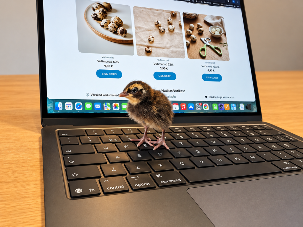 Vutitibu laptopil